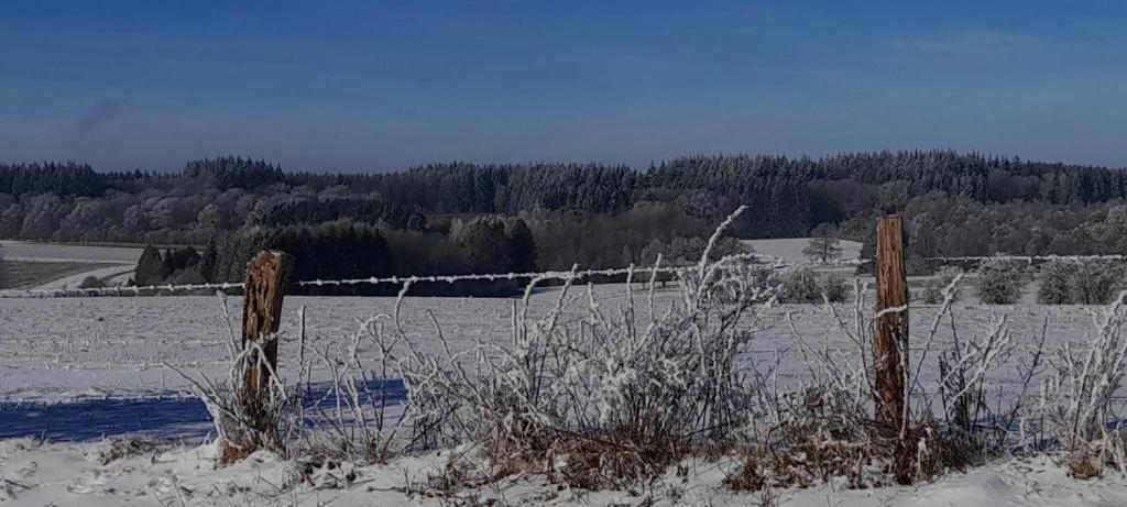 Les 3 Freres : Plain-Pied En Pleine Nature Vresse-sur-Semois Buitenkant foto