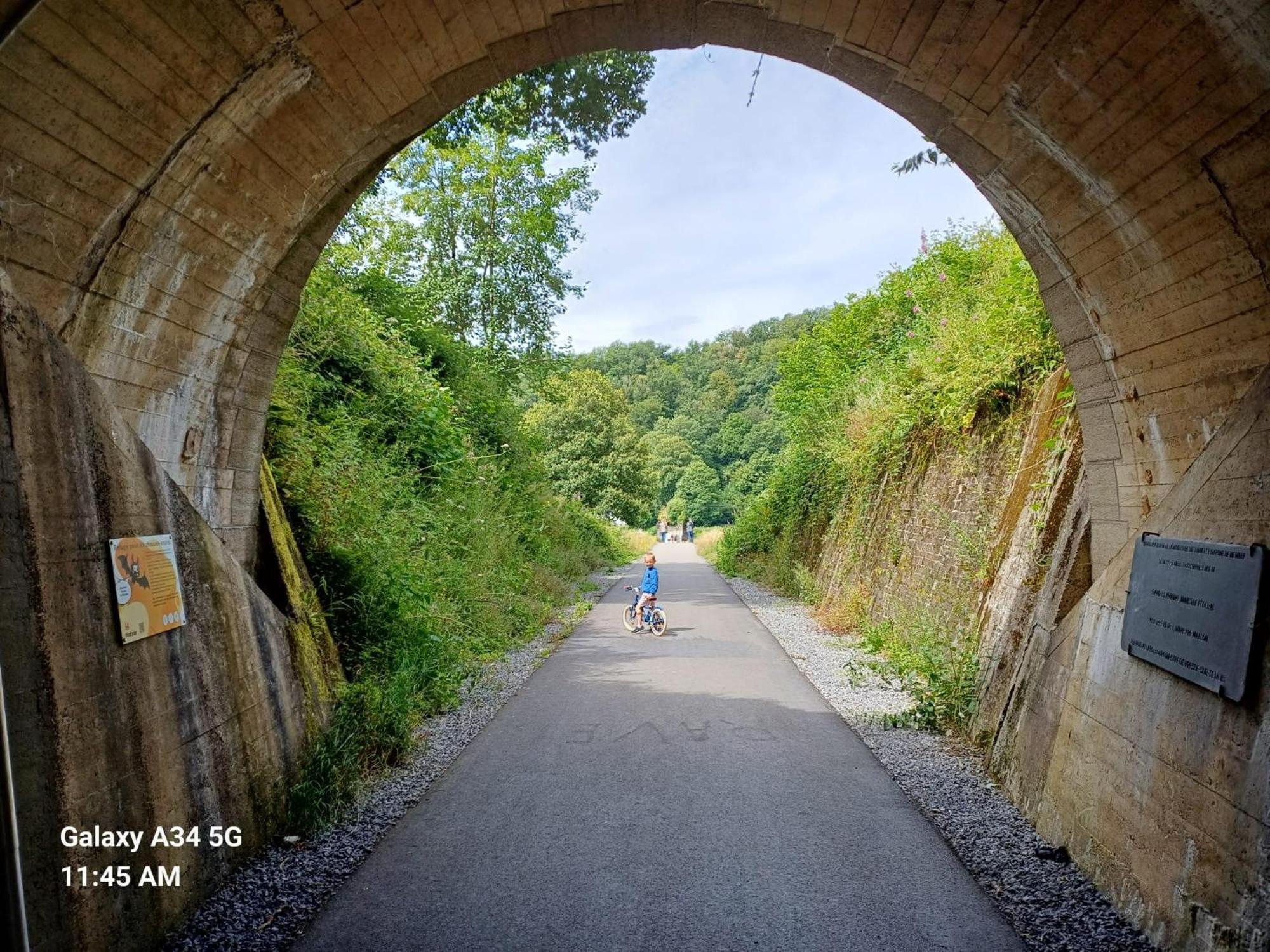 Les 3 Freres : Plain-Pied En Pleine Nature Vresse-sur-Semois Buitenkant foto